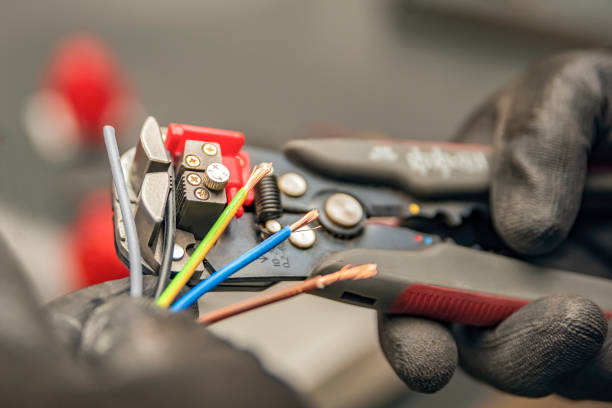Best Electric Panel Repair  in La Blanca, TX